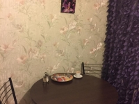 2-комнатная квартира посуточно Омск, 16 военный городок, 368: Фотография 2