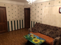 3-комнатная квартира посуточно Санкт-Петербург, Богатырский пр-т, 3к1: Фотография 4