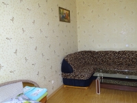 1-комнатная квартира посуточно Гатчина, Чехова, 26: Фотография 3