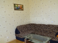 1-комнатная квартира посуточно Гатчина, Чехова, 26: Фотография 4