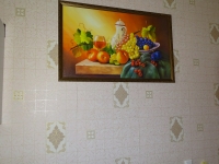 1-комнатная квартира посуточно Гатчина, Чехова, 26: Фотография 15