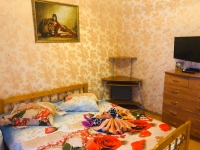 3-комнатная квартира посуточно Гатчина, рощинская, 17б: Фотография 10