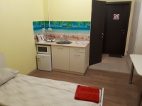 1-комнатная квартира посуточно Златоуст, проспект Гагарина 3-й микрорайон , 34: Фотография 3