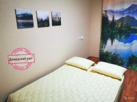 2-комнатная квартира посуточно Красноярск, Академика Киренского, 41: Фотография 2