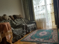 2-комнатная квартира посуточно Гатчина, Радищева, 20: Фотография 10