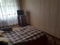 2-комнатная квартира посуточно Гатчина, Радищева, 20: Фотография 13