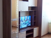 1-комнатная квартира посуточно Новосибирск, Виктора Уса, 4: Фотография 3