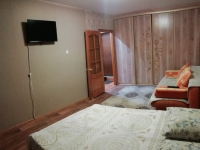 1-комнатная квартира посуточно Екатеринбург, Шейнкмана, 102: Фотография 2