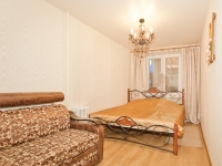 1-комнатная квартира посуточно Екатеринбург, Фурманова, 103: Фотография 2