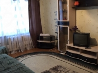 1-комнатная квартира посуточно Нижний Новгород, Проспект Гагарина, 52: Фотография 3