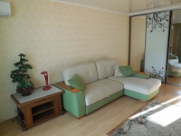 1-комнатная квартира посуточно Хабаровск, Амурский бульвар, 66: Фотография 2