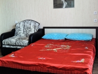 1-комнатная квартира посуточно Челябинск, Братьев Кашириных, 119: Фотография 6