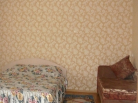 1-комнатная квартира посуточно Нижний Новгород, Щербакова, 2: Фотография 3