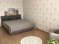1-комнатная квартира посуточно Нижний Новгород, Проспект Гагарина, 4: Фотография 2