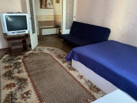 3-комнатная квартира посуточно Дзержинск, Петрищева, 18: Фотография 2