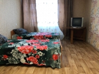 1-комнатная квартира посуточно Новосибирск, Ул. ЖКО Аэропорта , 27: Фотография 2