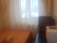 1-комнатная квартира посуточно Новосибирск, Челюскинцев, 14: Фотография 2