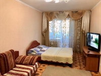 1-комнатная квартира посуточно Омск, Орджоникидзе, 162: Фотография 2