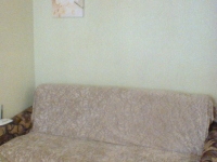 1-комнатная квартира посуточно Нижний Новгород, проспект Ленина, 40: Фотография 3
