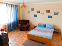 1-комнатная квартира посуточно Нижний Новгород, проспект Ленина, 36: Фотография 3
