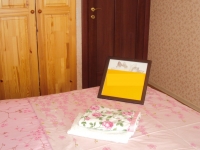2-комнатная квартира посуточно Нижний Новгород, Проспект Ленина, 47: Фотография 5