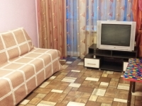 1-комнатная квартира посуточно Челябинск, Богдана Хмельницкого, 20: Фотография 2
