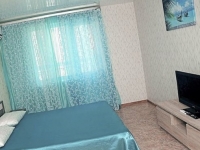 1-комнатная квартира посуточно Санкт-Петербург, Большой Сампсониевский проспект, 51: Фотография 5