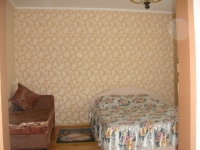 1-комнатная квартира посуточно Нижний Новгород, ул. Культуры, д. 4 ц. Сормово, 4: Фотография 3
