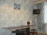 1-комнатная квартира посуточно Нижний Новгород, ул. Культуры, д. 4 ц. Сормово, 4: Фотография 5
