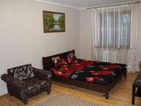 1-комнатная квартира посуточно Екатеринбург, Пехотинцев , 6: Фотография 2