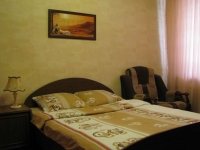 1-комнатная квартира посуточно Казань, Рихарда Зорге , 50: Фотография 2