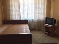 1-комнатная квартира посуточно Казань, Лево-Булачная, 50: Фотография 2