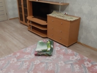 1-комнатная квартира посуточно Уфа, набережная реки уфа, 71: Фотография 2