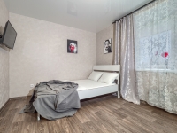 1-комнатная квартира посуточно Нижний Новгород, Куйбышева, 67: Фотография 2