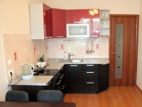 1-комнатная квартира посуточно Новосибирск, Державина , 4: Фотография 3