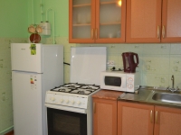 1-комнатная квартира посуточно Нижний Новгород, Южный бульвар , 19: Фотография 2