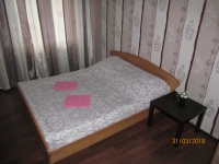 2-комнатная квартира посуточно Екатеринбург, Гастелло , 32: Фотография 3
