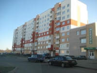 1-комнатная квартира посуточно Великий Новгород, Волотовская, 5: Фотография 10