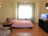 1-комнатная квартира посуточно Нижний Новгород, Веденяпина , 6: Фотография 3