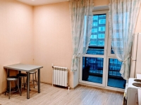 1-комнатная квартира посуточно Екатеринбург, Серова , 47: Фотография 6