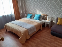 1-комнатная квартира посуточно Новосибирск, Академгородок Рубиновая, 3: Фотография 2