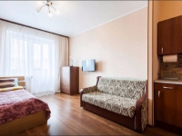 1-комнатная квартира посуточно Екатеринбург, Малышева, 11: Фотография 2