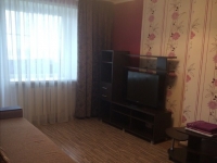 1-комнатная квартира посуточно Красноярск, Ползунова , 10: Фотография 2