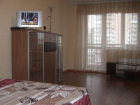 1-комнатная квартира посуточно Челябинск, Румянцева, 33: Фотография 2