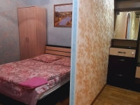 1-комнатная квартира посуточно Нижний Новгород, Лескова, 6: Фотография 2