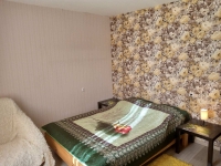 2-комнатная квартира посуточно Нижний Новгород, Карла Маркса , 60: Фотография 4
