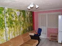 1-комнатная квартира посуточно Челябинск, улица Сони Кривой, 47: Фотография 13