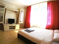 1-комнатная квартира посуточно Барнаул, Сухэ-Батора, 21: Фотография 3