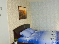 1-комнатная квартира посуточно Самара, Зои Космодемьянской, 4: Фотография 4