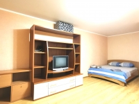 1-комнатная квартира посуточно Самара, Вольская, 65: Фотография 2